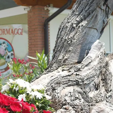 Farmház Fattoria Monte Baldo Vista