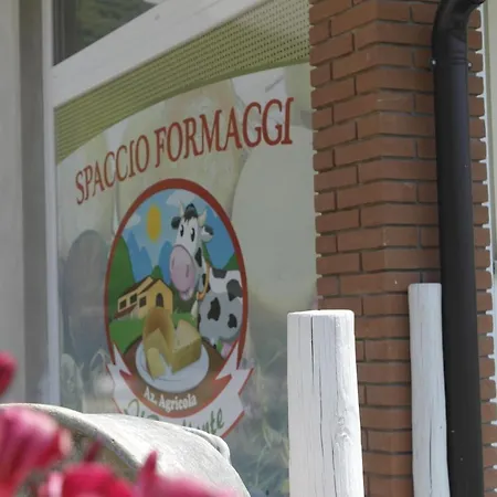 Fattoria Monte Baldo Vista