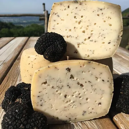 Fattoria Monte Baldo Vista