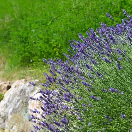 Farmház Fattoria Monte Baldo Vista