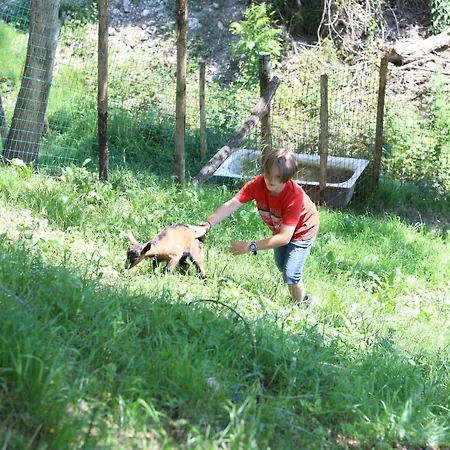 Farm stay Fattoria Monte Baldo Vista