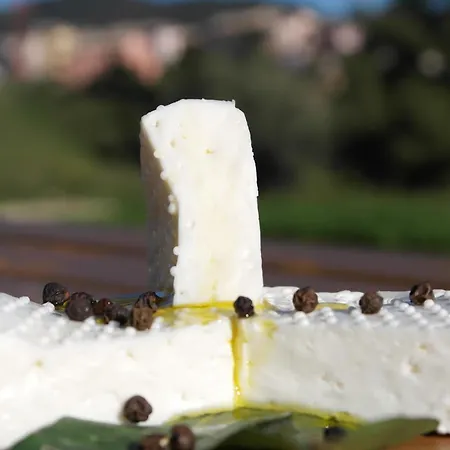 Fattoria Monte Baldo Vista *