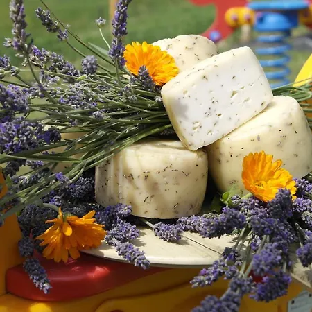 Farm stay Fattoria Monte Baldo Vista *
